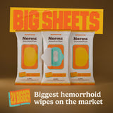 Big Sheets Hemorrhoid Wipes - 48ct (Pack of 3)